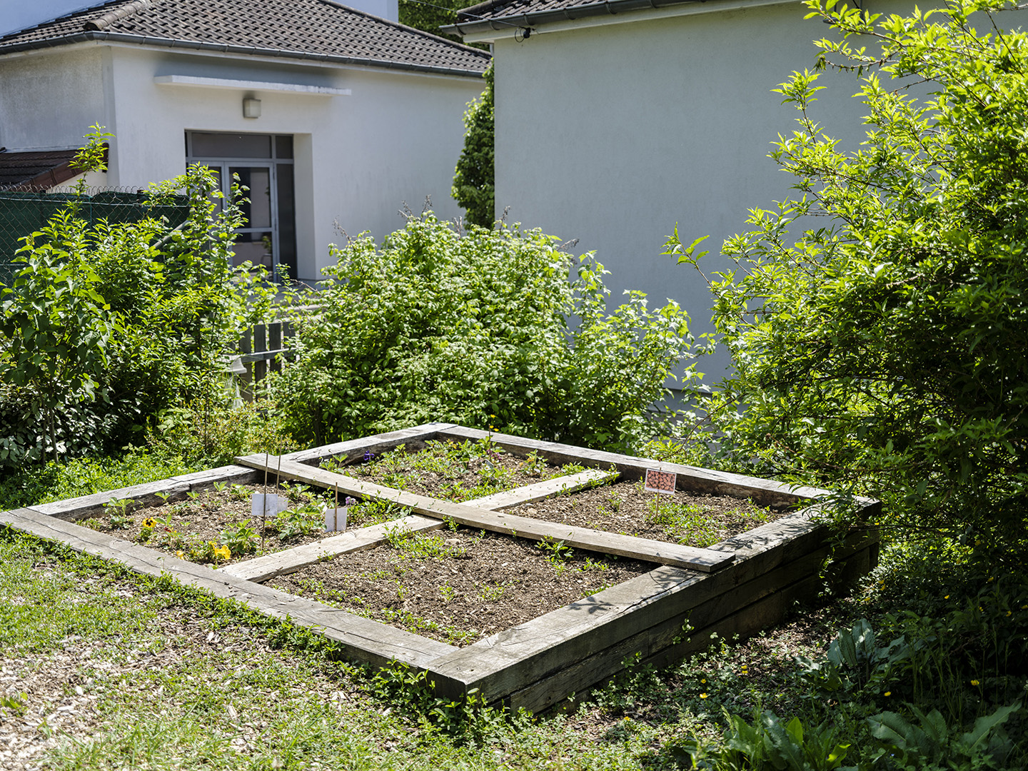 Image projet