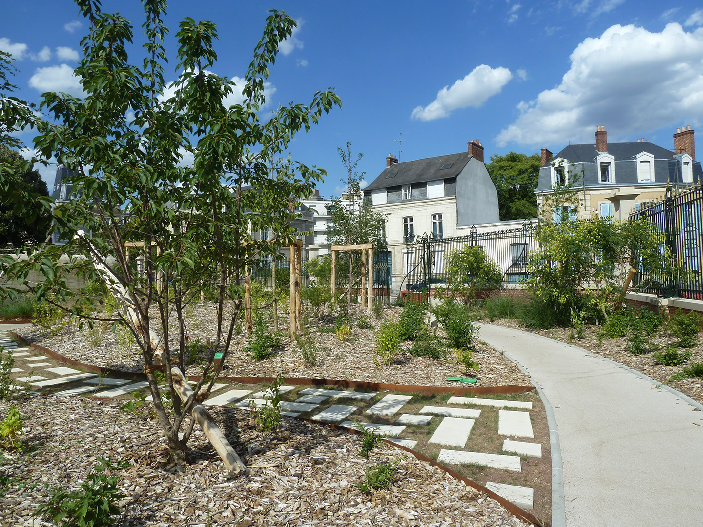 Image projet
