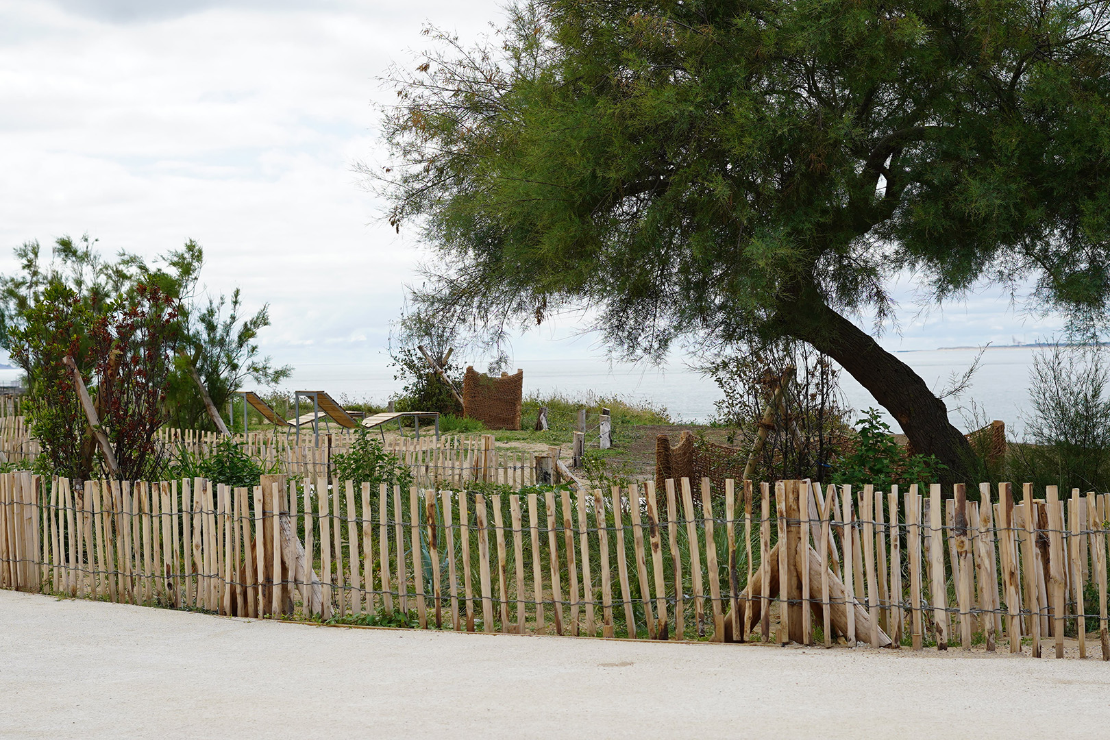 Image projet