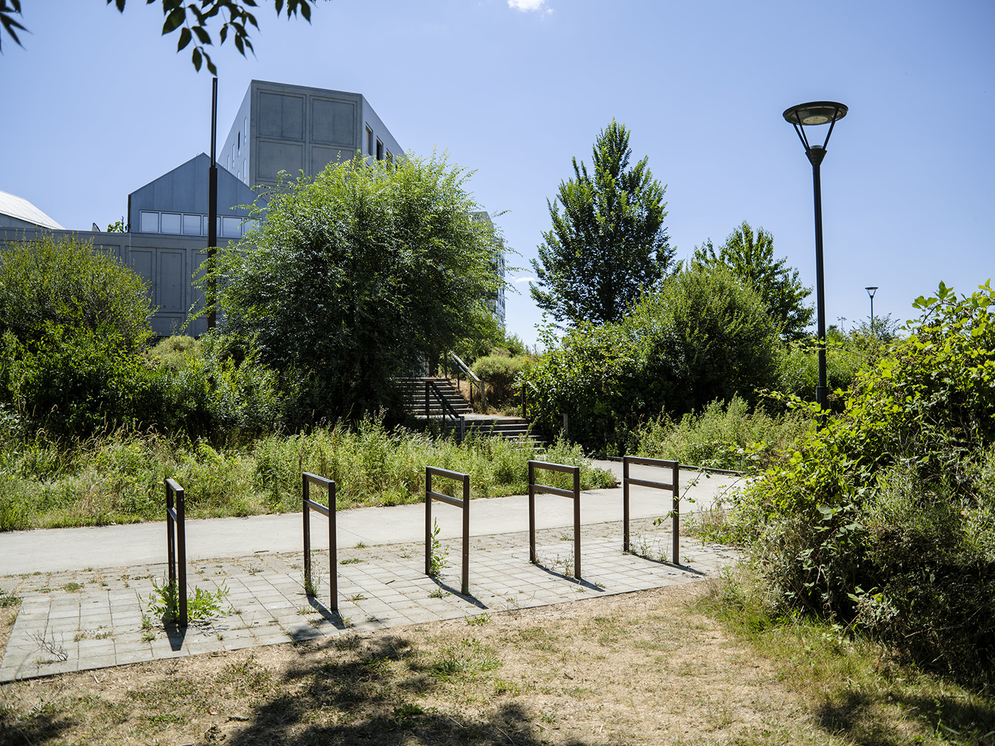 Image projet