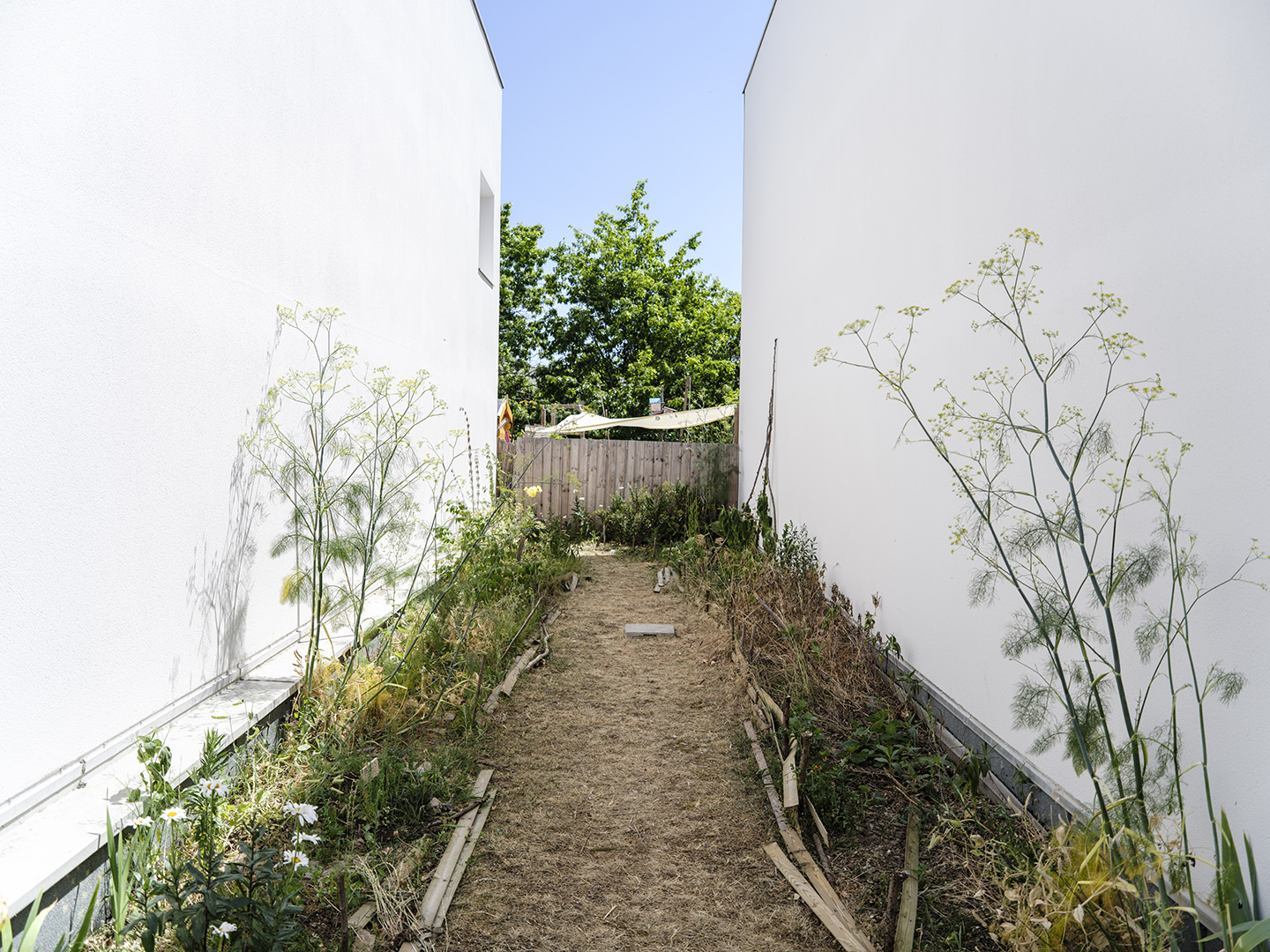 Image projet