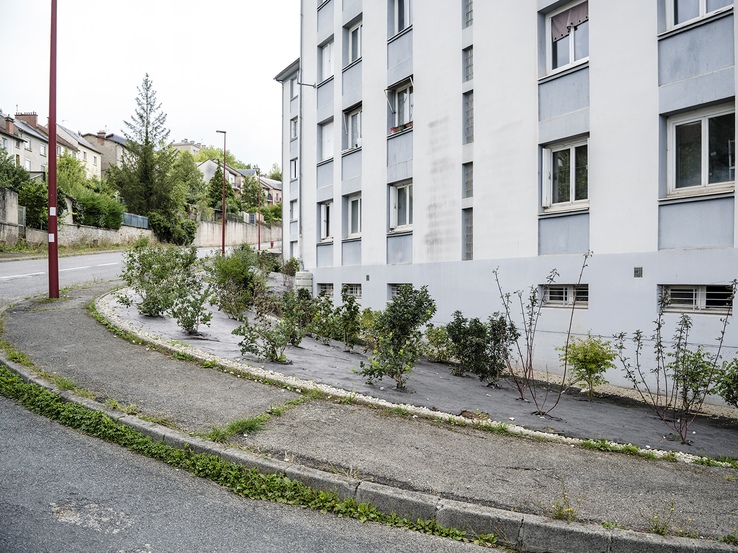 Image projet