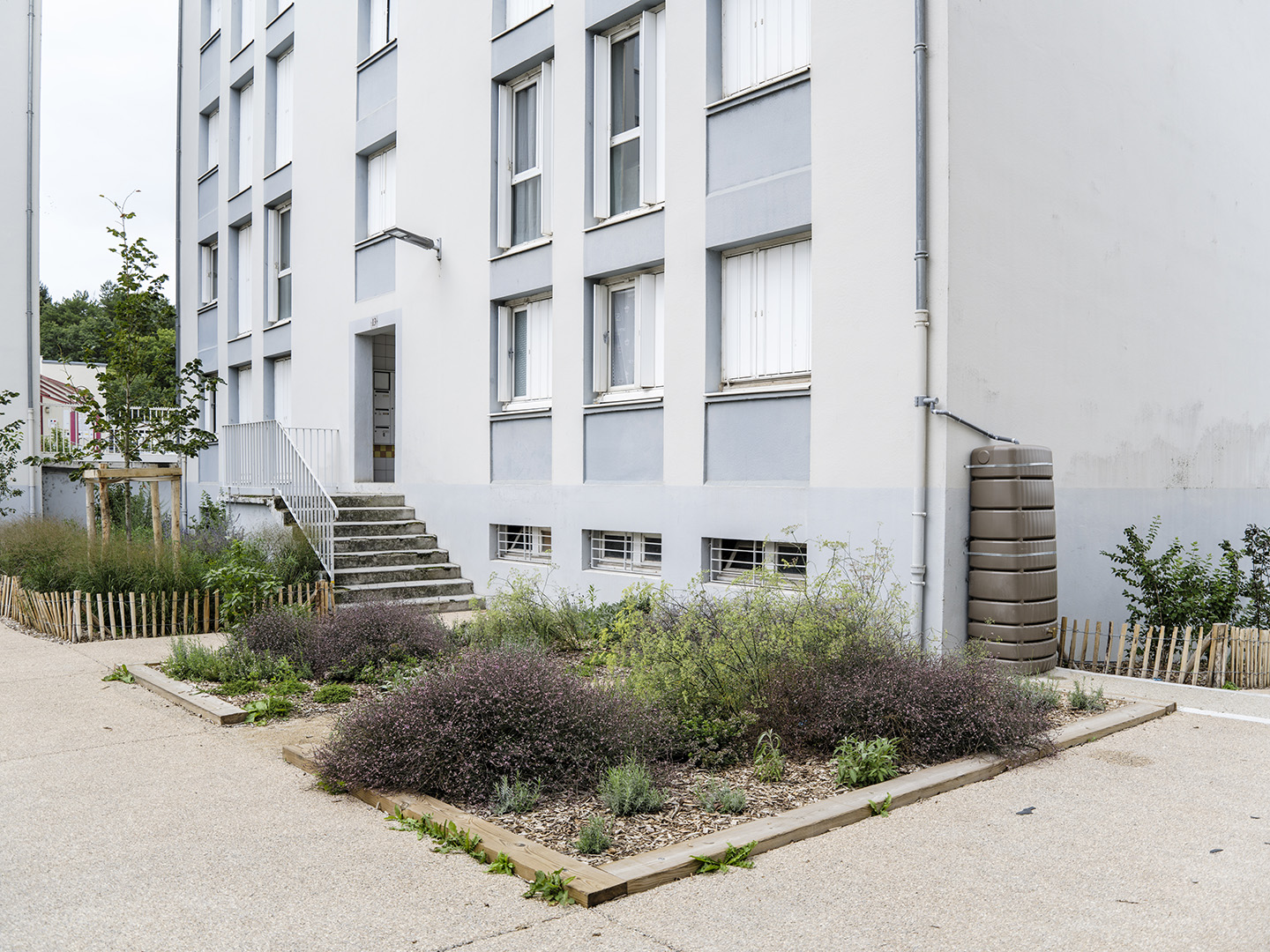 Image projet
